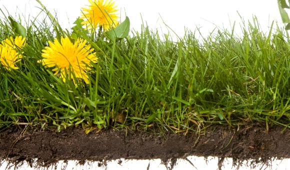 LC-310检测土壤及沉积物中多环芳烃残留量