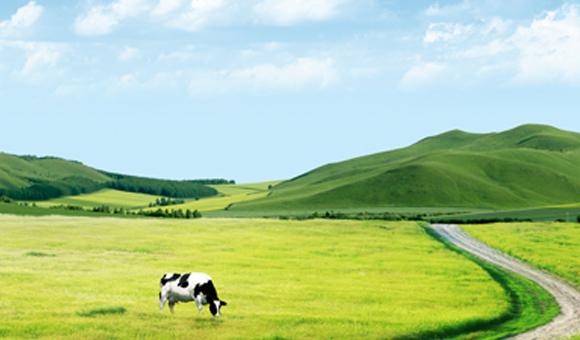 以诚为本赢在诚信9001ICP3000在土壤监测中的应用解决方案